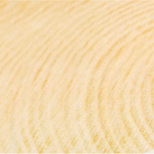 MT Masking Tape